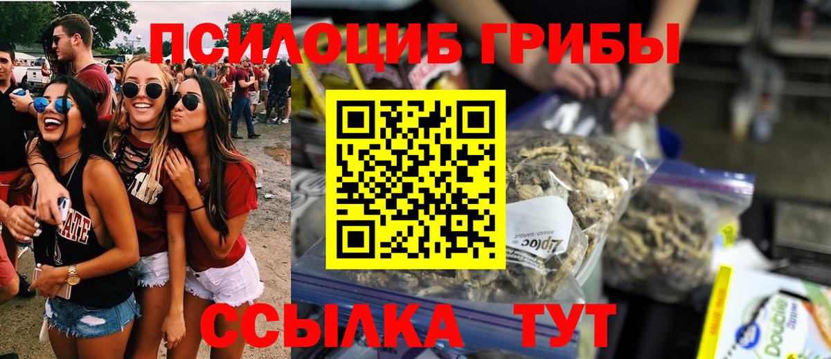 Галлюциногенные грибы Cubensis Клин